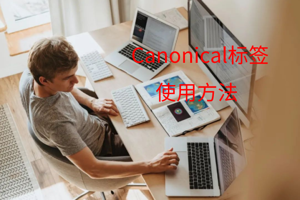 Canonical标签的作用