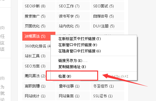 WordPress大前端DUX主题TAG标签颜色修改方法1