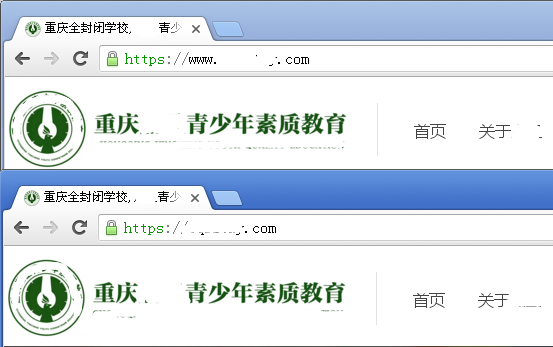 地方青少年素质教育学校网站的域名绑定问题