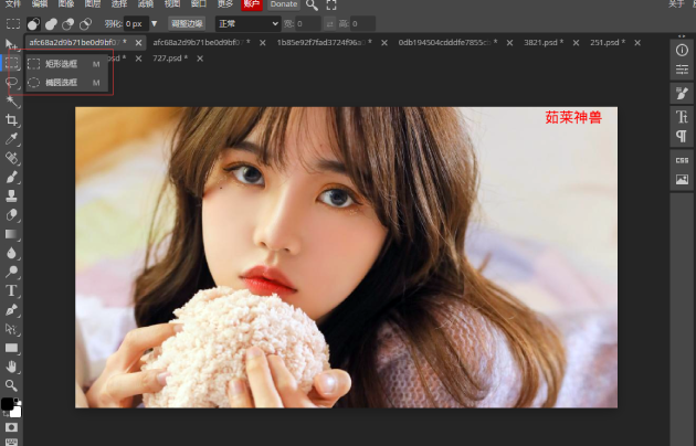 Photoshop(PS软件)怎么去除图片素材上的水印文字？3