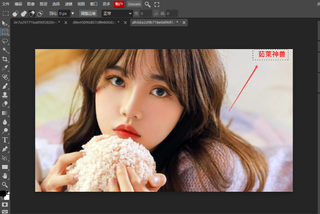 Photoshop(PS软件)怎么去除图片素材上的水印文字？4