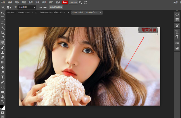 Photoshop(PS软件)怎么去除图片素材上的水印文字？5